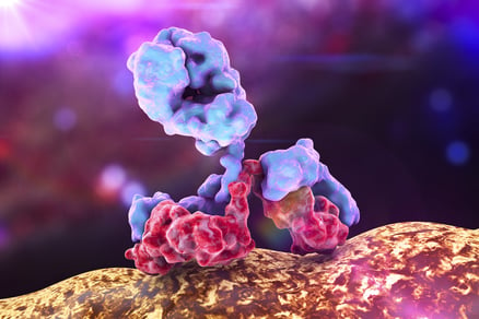 RMS Antibody attacking bacteria.jpg